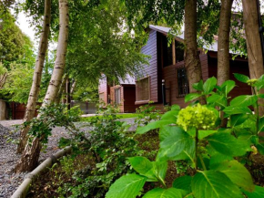 Гостиница Cabañas Los Laureles - Lican Ray  Вильяррика